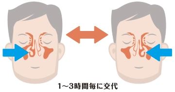 Nasal Cycle
